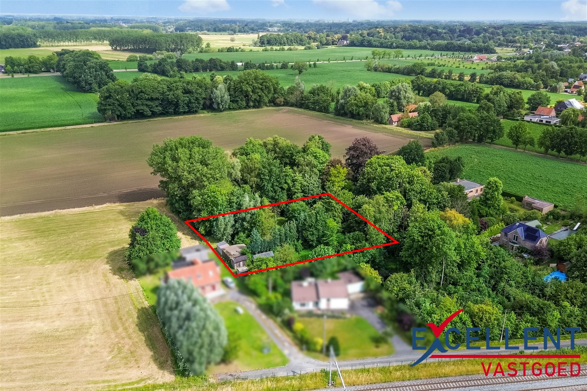 Unieke kans voor natuurliefhebbers foto 3