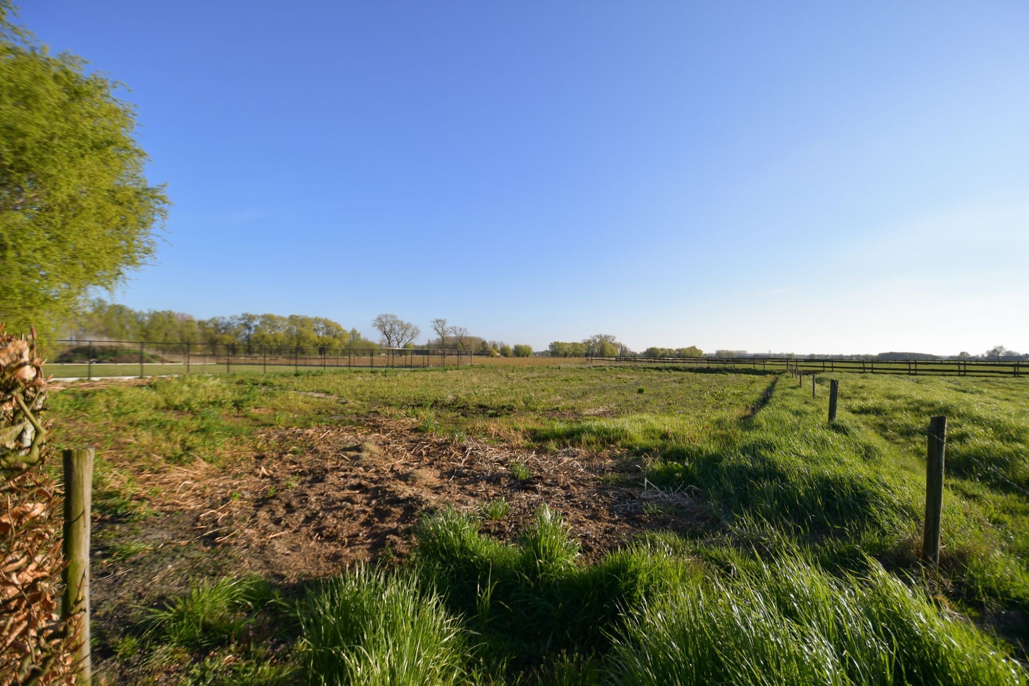 LANDELIJK GELEGEN WONING met LOODS & WEILAND op  3173 m² foto 5