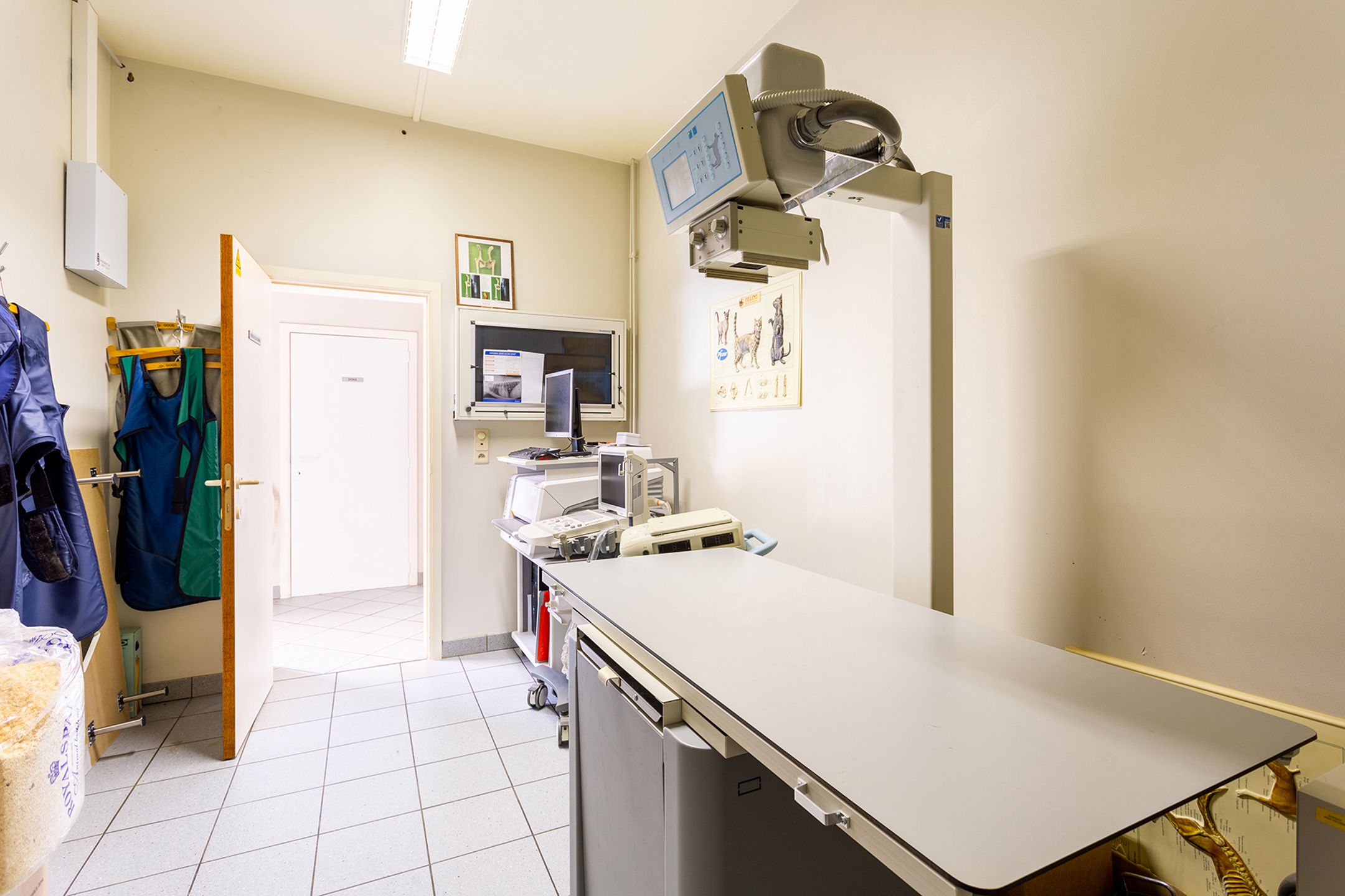 Ruim handelsgelijkvloers op toplocatie te Hove centrum foto 14