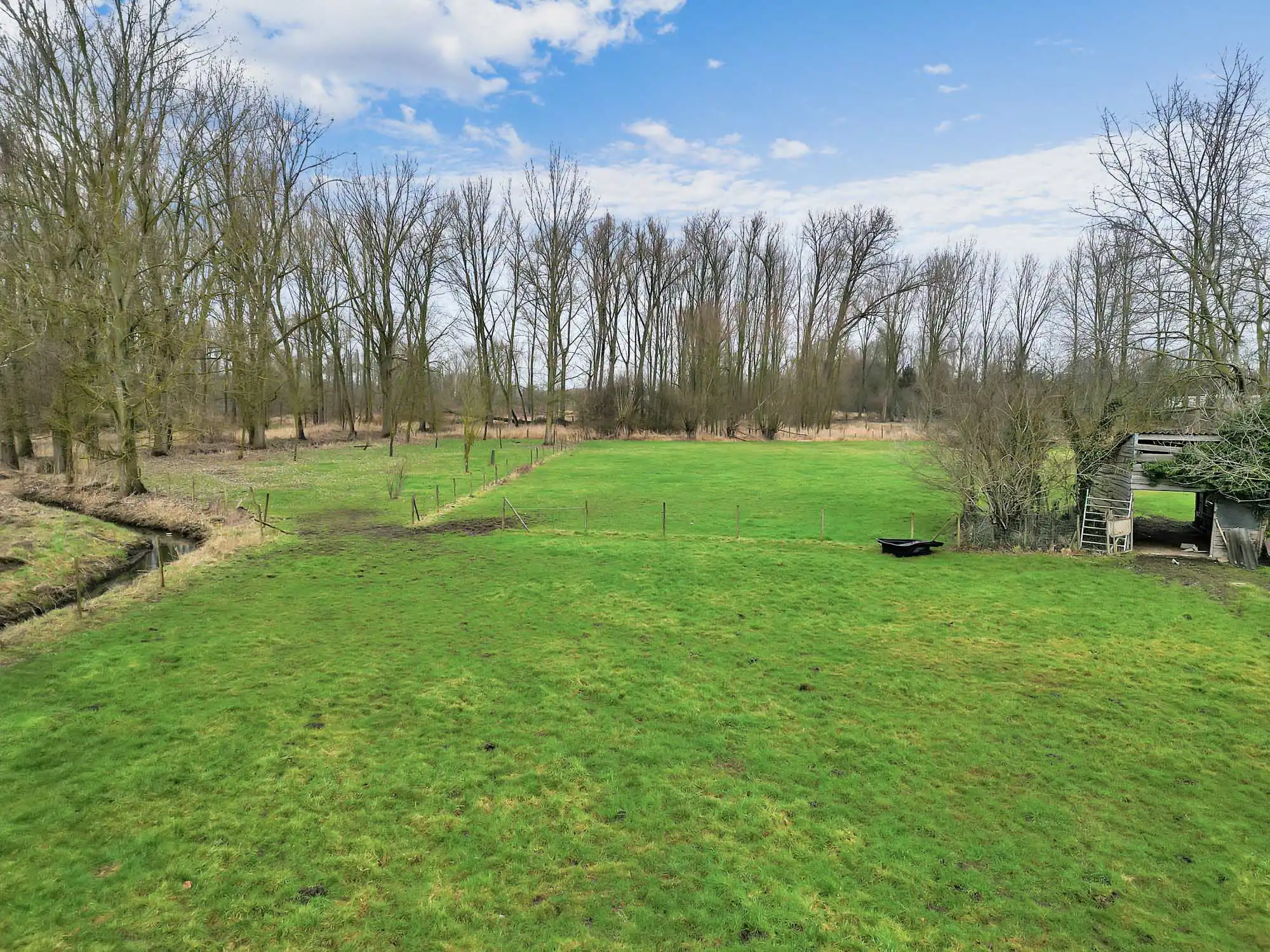 Weide met topligging op bijna 1,5ha foto 3