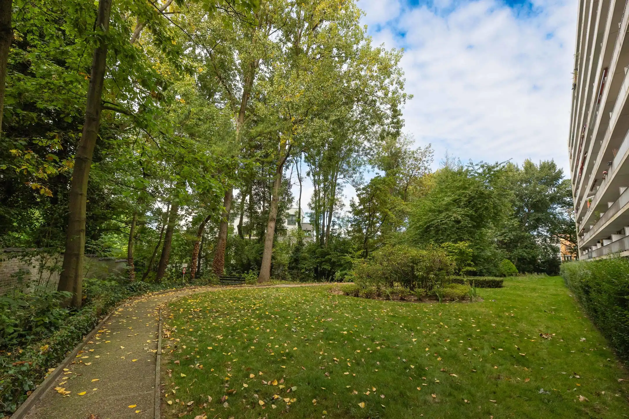 Ukkel: een frisse touch, een echte hartendief. foto 13