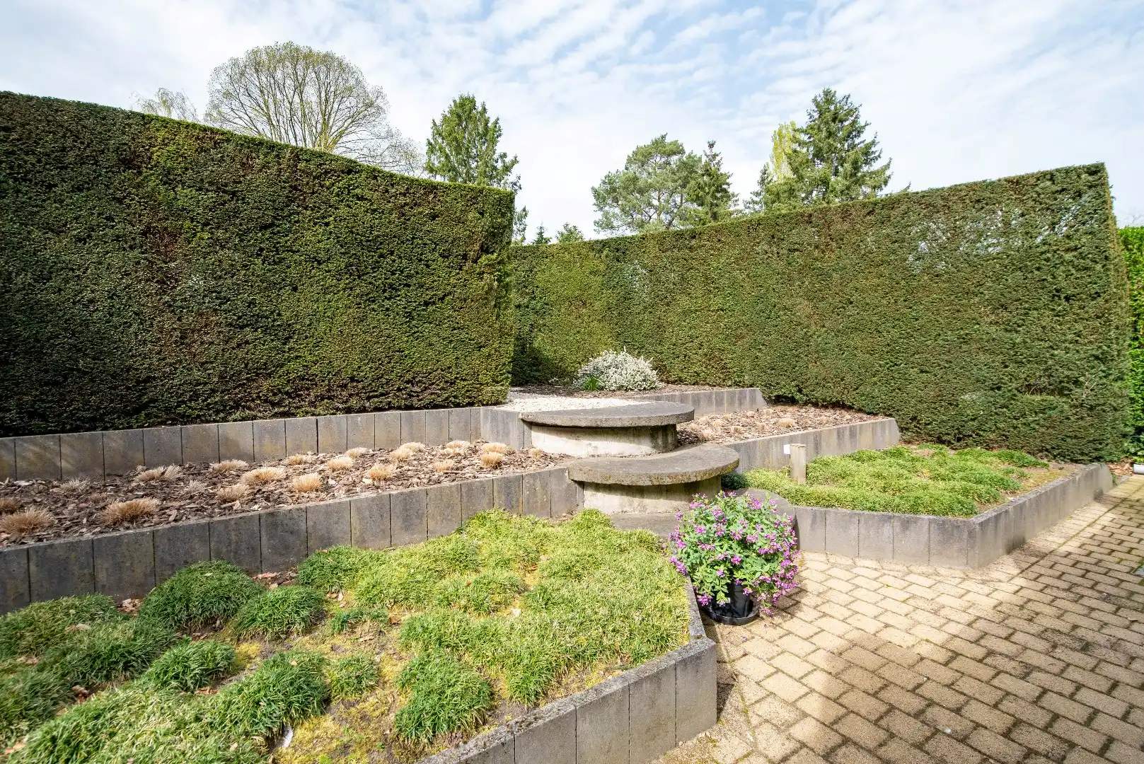 Veelzijdig Commercieel Gelijkvloers in de Dorpskern van Zandhoven foto 14