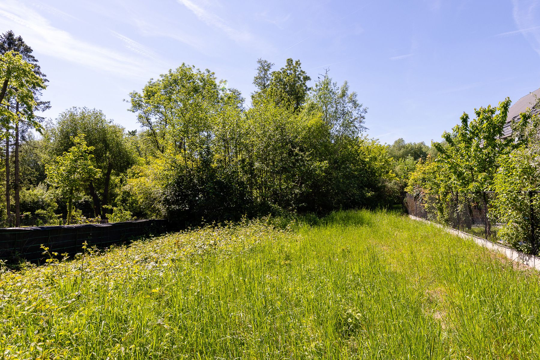 Unieke bouwgrond foto 6