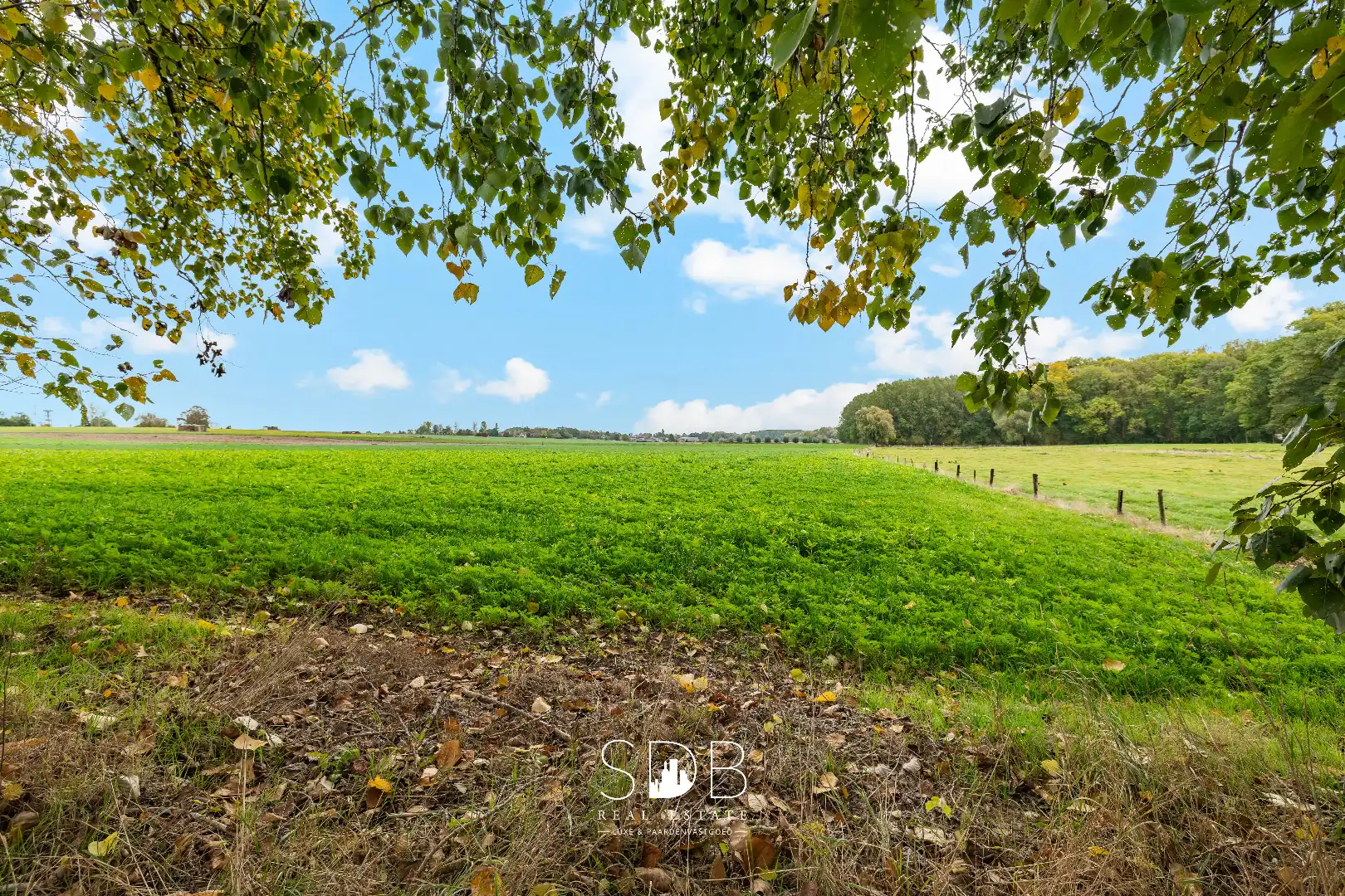 Authentieke hoeve met achterliggend groen op 5.192m² foto 33