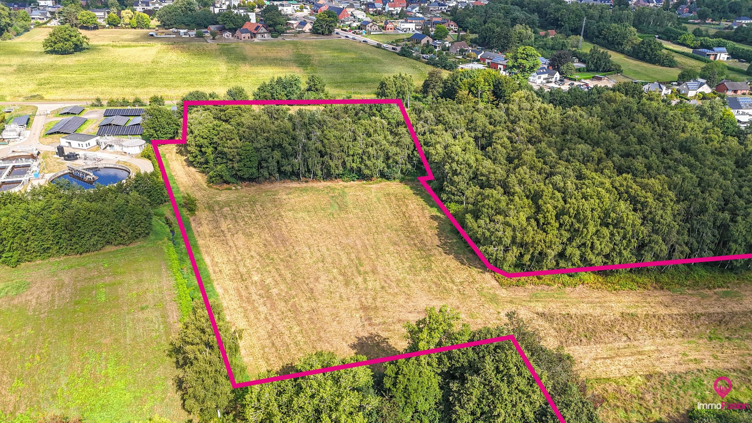 Uitgestrekt perceel van 3 hectare landbouw- of paardenweide! foto 3