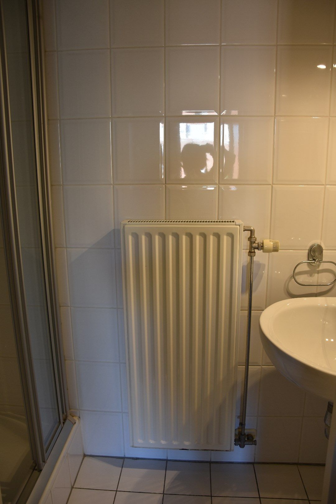 Zeer ruim appartement met 2 slaapkamers - JVZ253809  foto 8