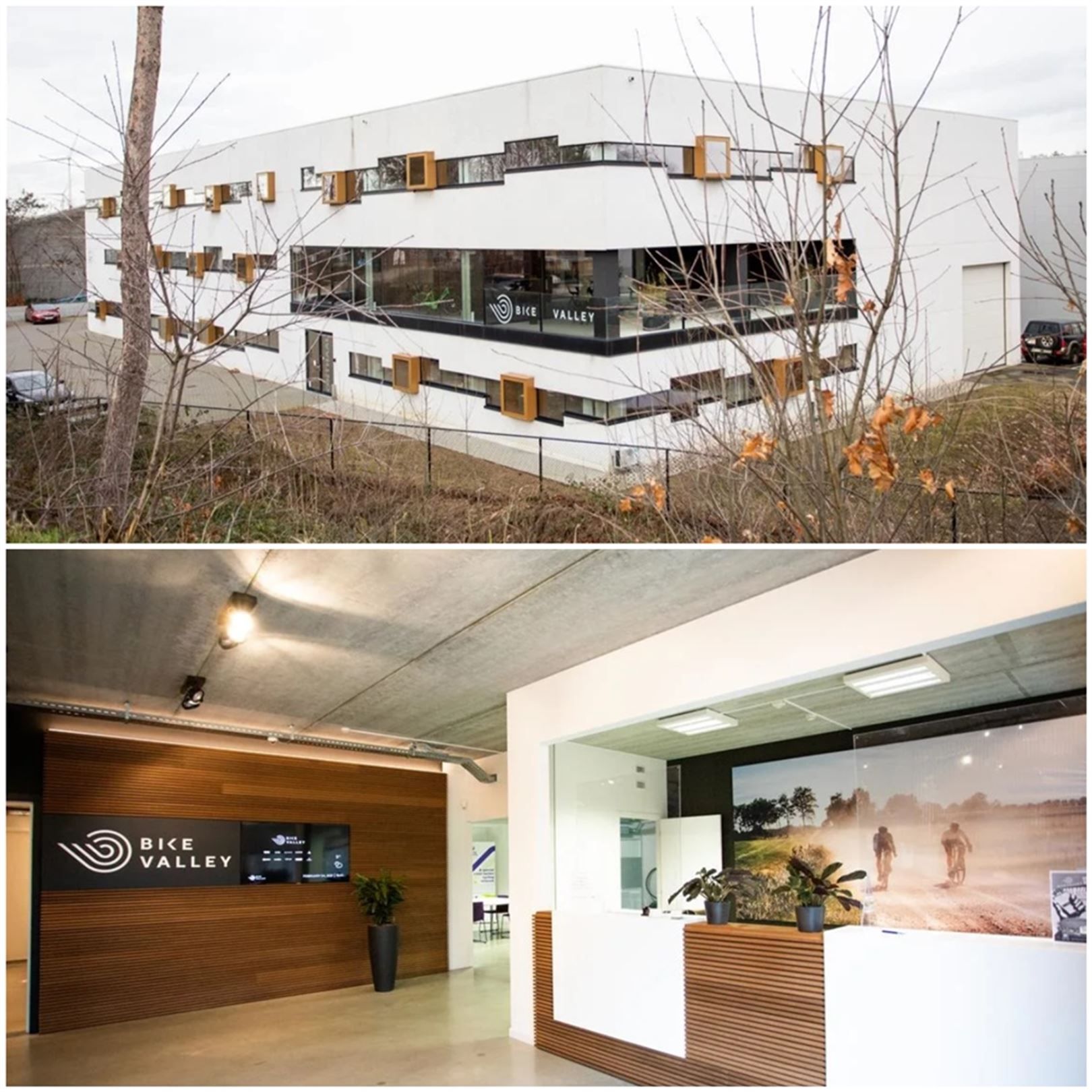 Kantoorgebouw foto 10