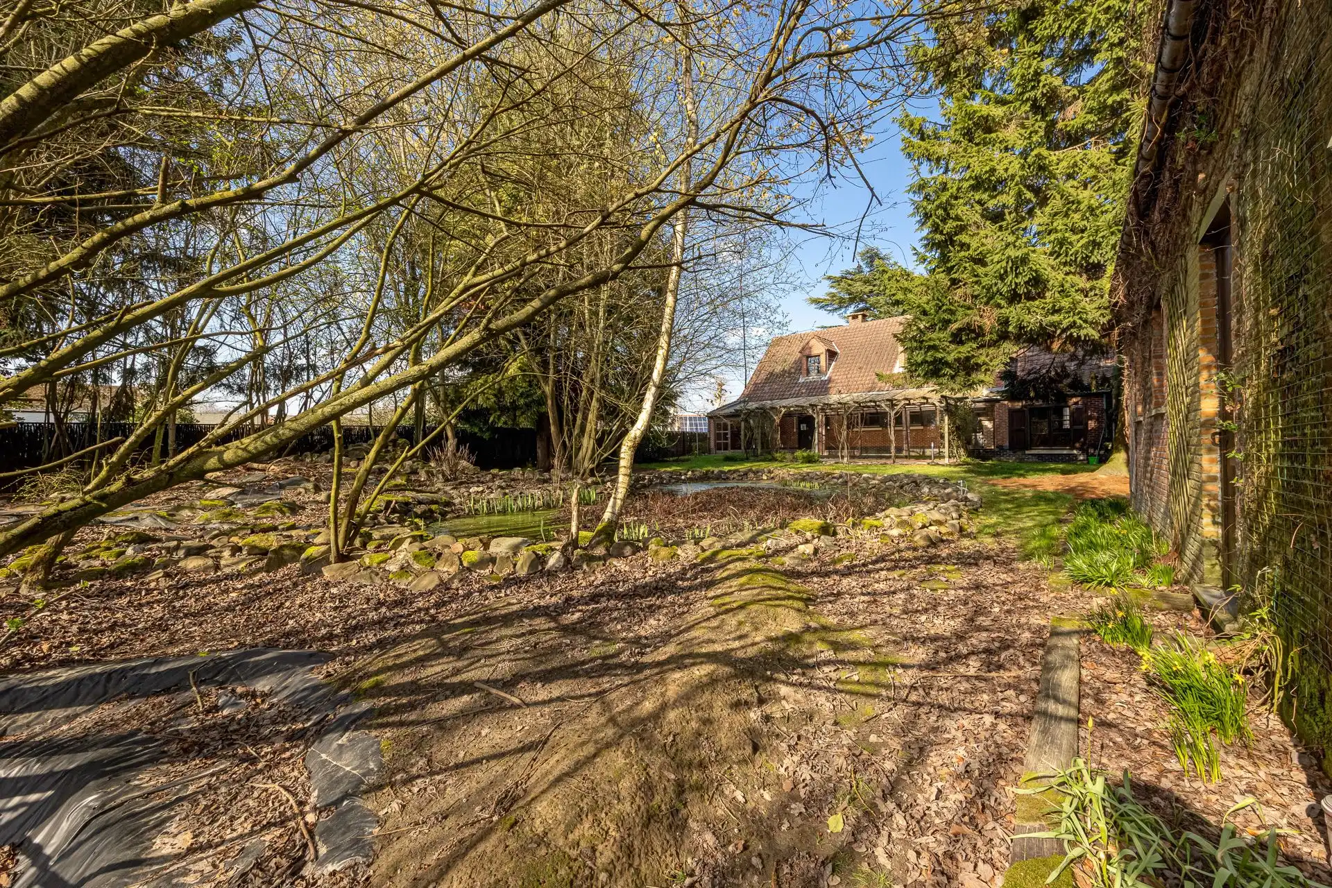 Landhuis met 4 slaapkamers en bijhuis op 1.850 m² foto 3
