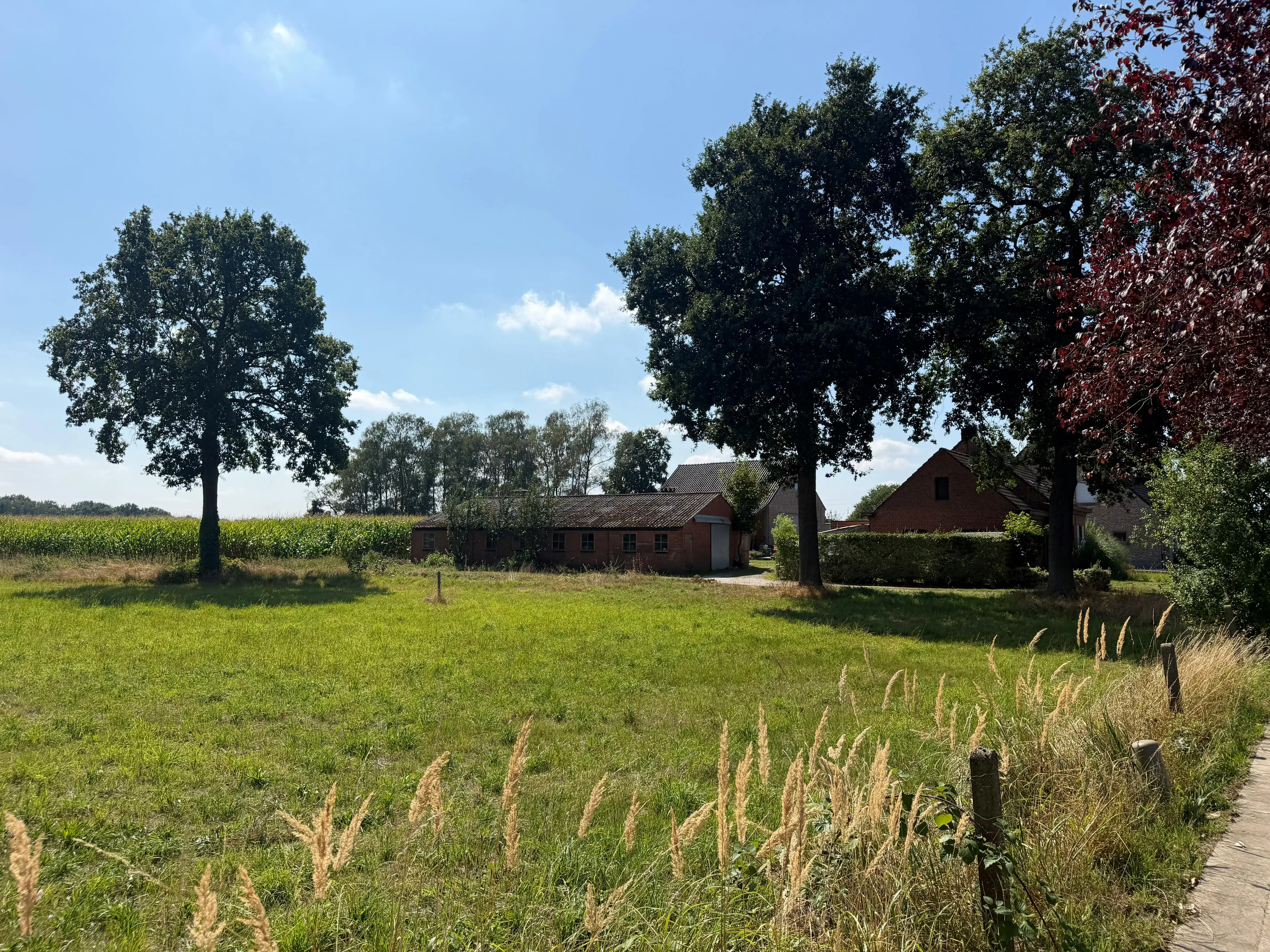 Zuidgerichte bouwgrond met zicht op velden te koop - Brecht foto 6