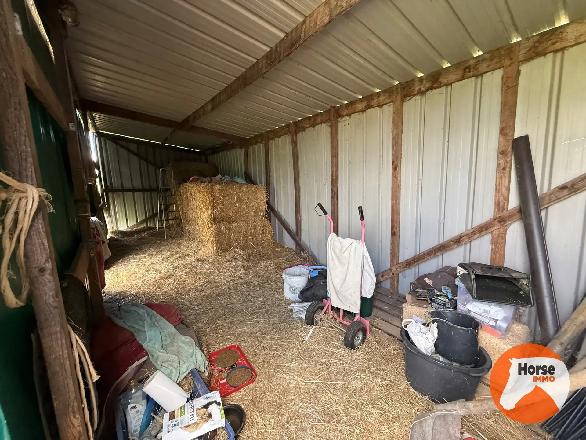 ASSE - Paardenaccommodatie op 1,07ha met 3 vergunde stallen foto 12