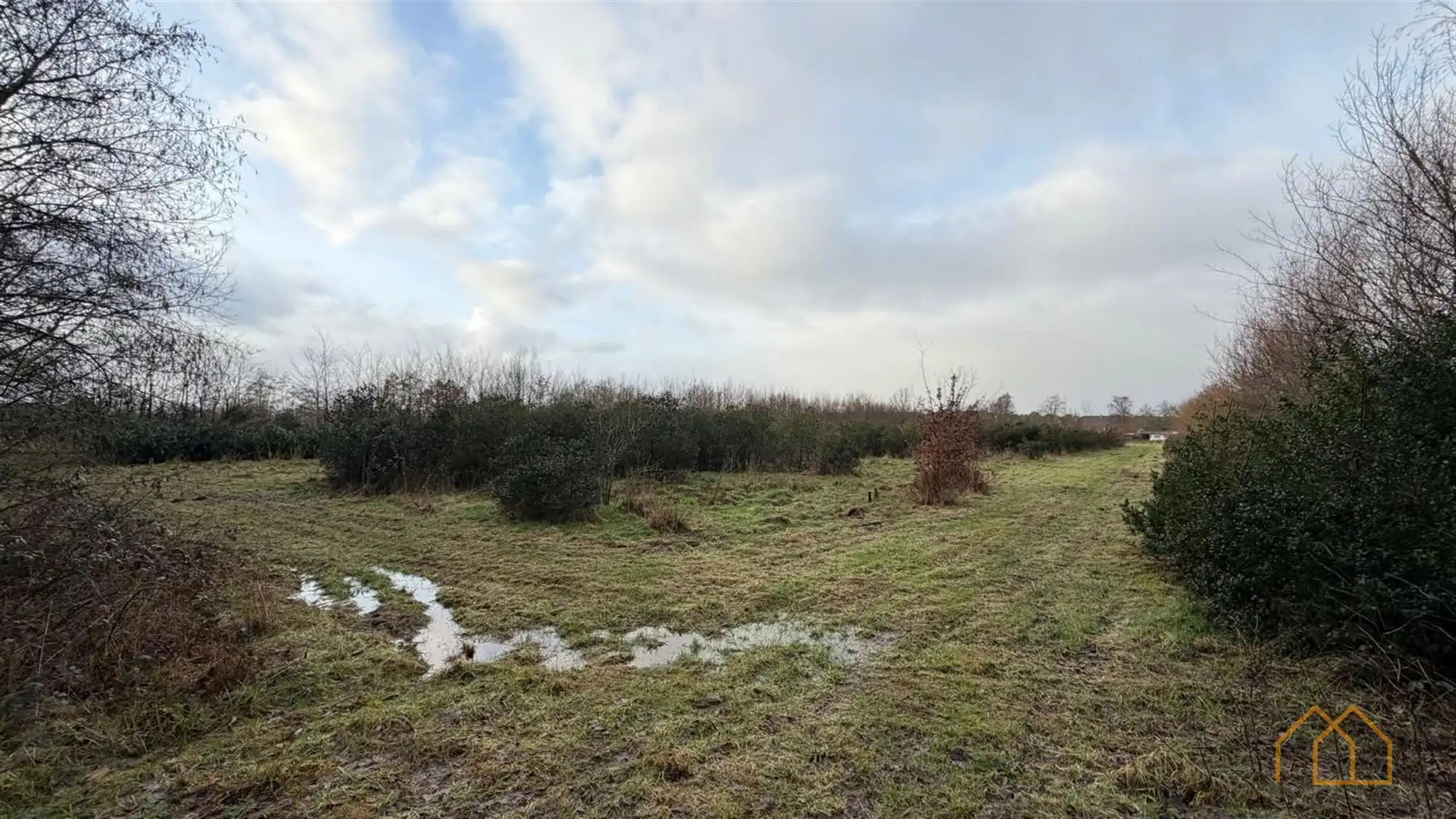 Landbouwgrond van 8600m² in Ten Aard foto 6