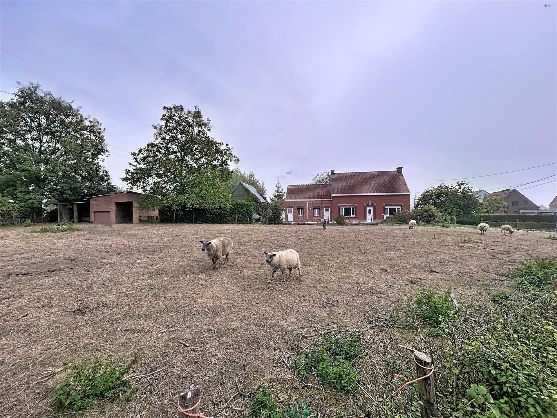 Hoofdfoto van de publicatie: charmante hoeve op perceel van 2515 m²