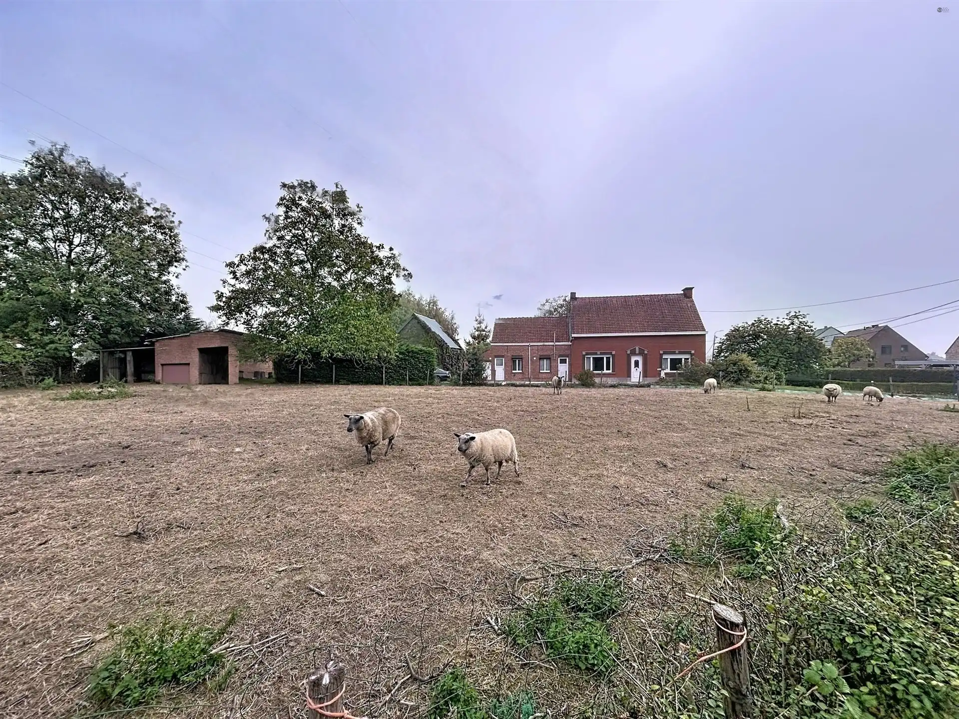 Hoofdfoto van de publicatie: charmante hoeve op perceel van 2515 m²