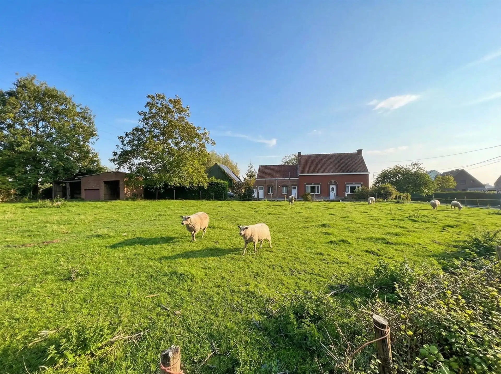 Boerderij te koop Heirputstraat 1 - 9140 TEMSE