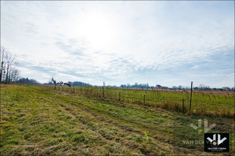 11,5 hectaren landbouwgrond foto 14