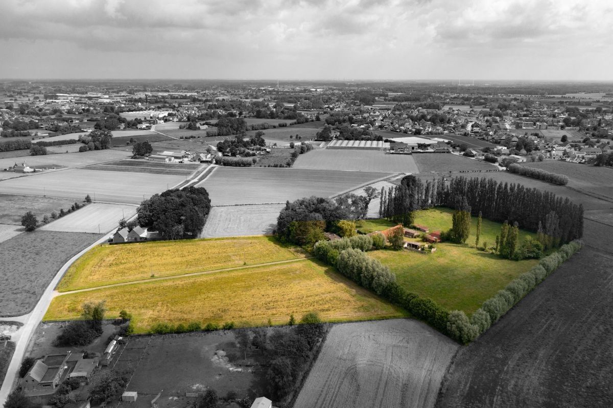 Afzonderlijk gelegen hoeve te koop op 3,66 ha te Zedelgem - Veldegem foto 20