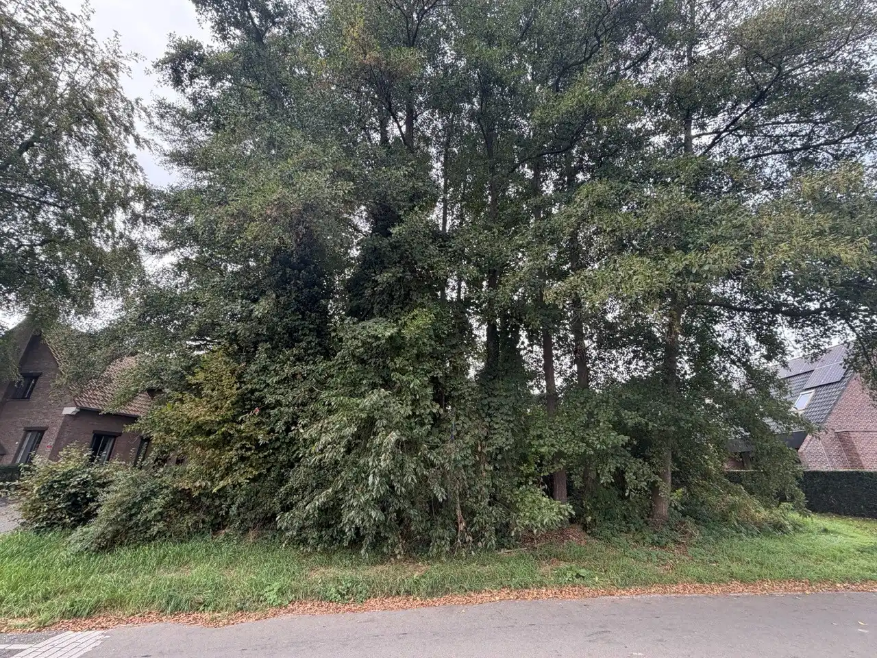 Grond te koop Schansbroekstraat 5 - 3600 Genk