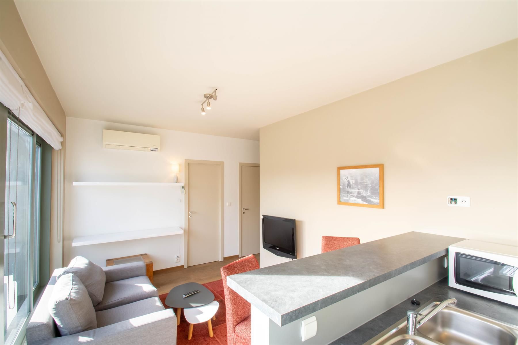 Prachtig gemeubeld app - 1Kamer + Terras (Europese wijk) foto 6