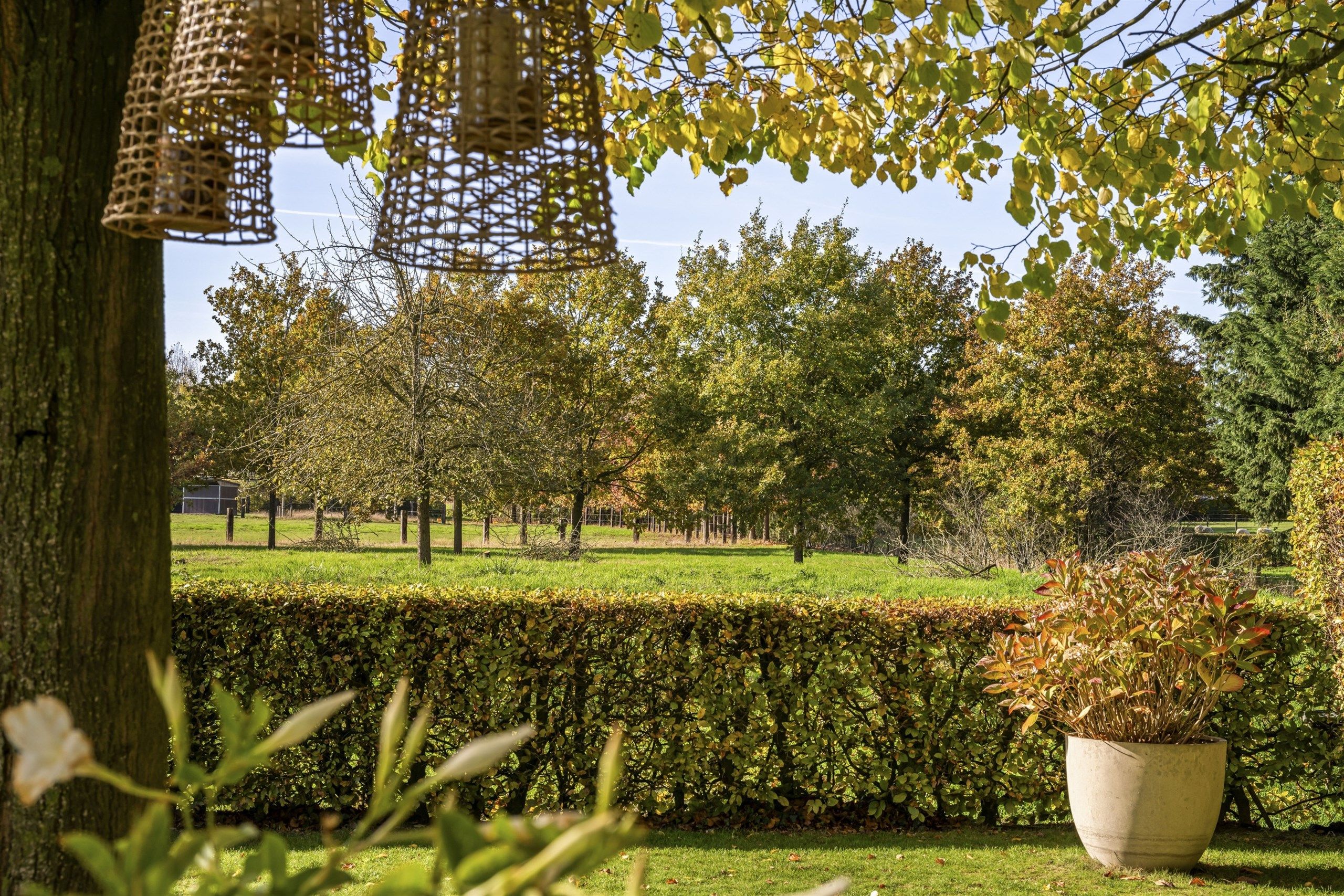 FIRST SALE VR 21/11 (16.00 - 20.00) & ZA 22/11 (9.00 - 18.00) foto 10