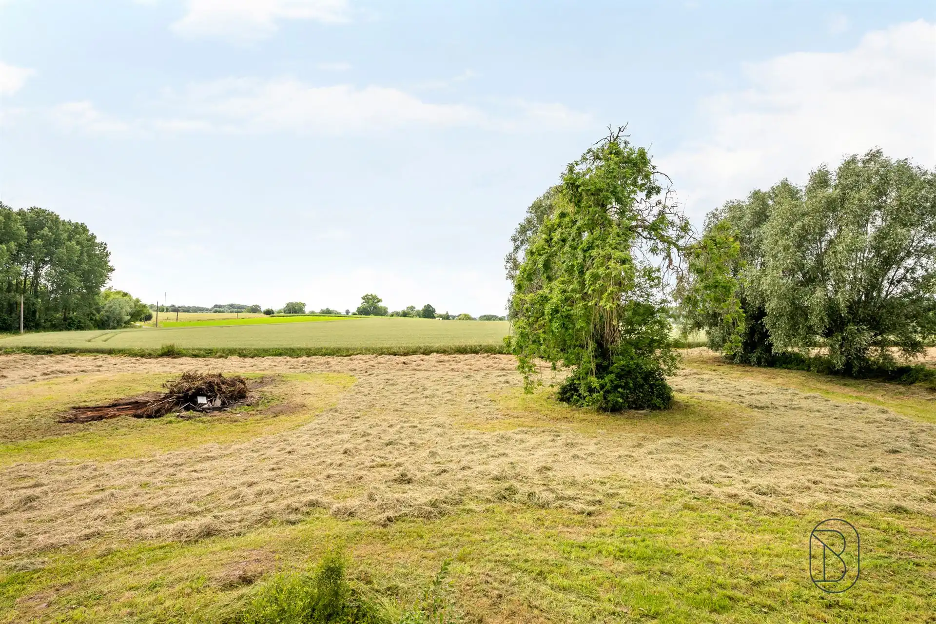 Prachtig gelegen vierkantshoeve met zichten op 2,45 hectare foto 7