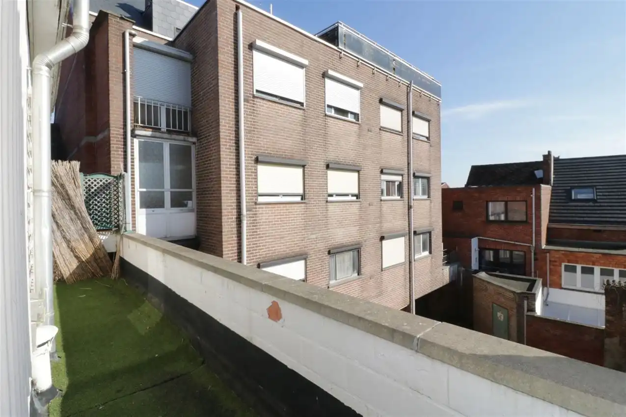 charmant, ruim, mogelijkheid beroep of kangoeroe foto 41