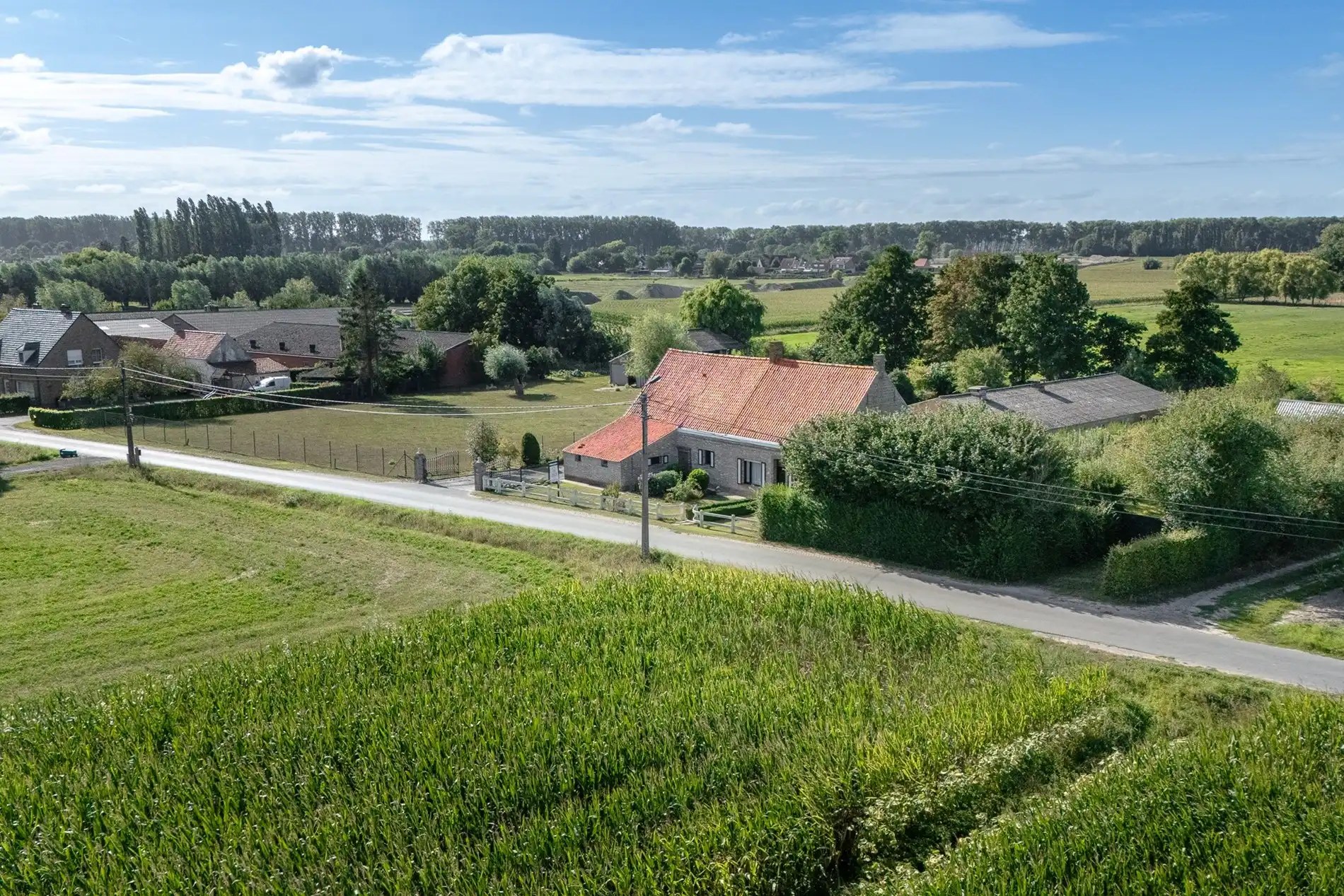 Hoeve schitterend gelegen te Damme foto 3