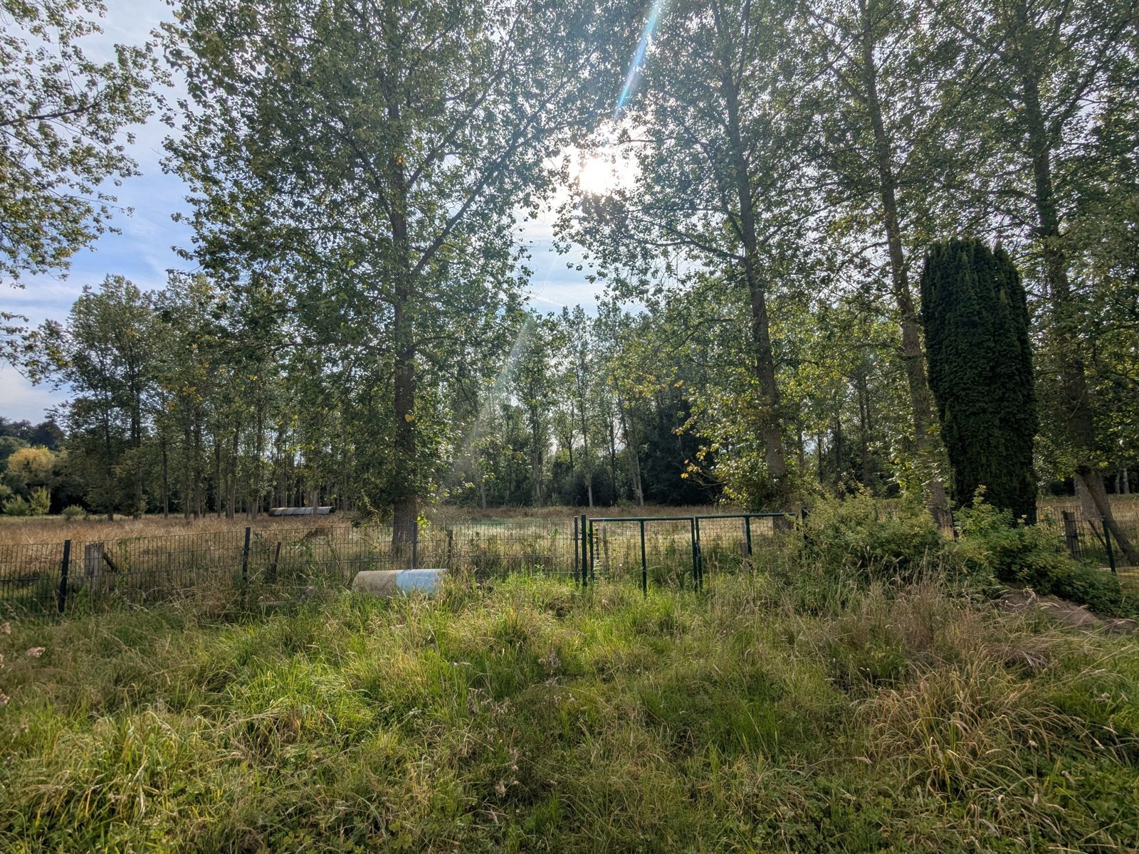 Recente grote woning met top technieken en prachtig uitzicht foto 26