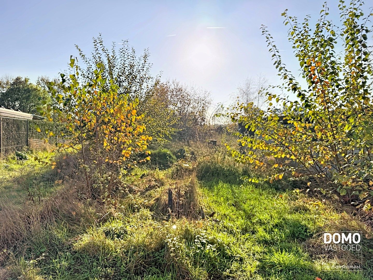 Ruime open bebouwing gelegen te Schulen met tal van mogelijkheden  foto 8