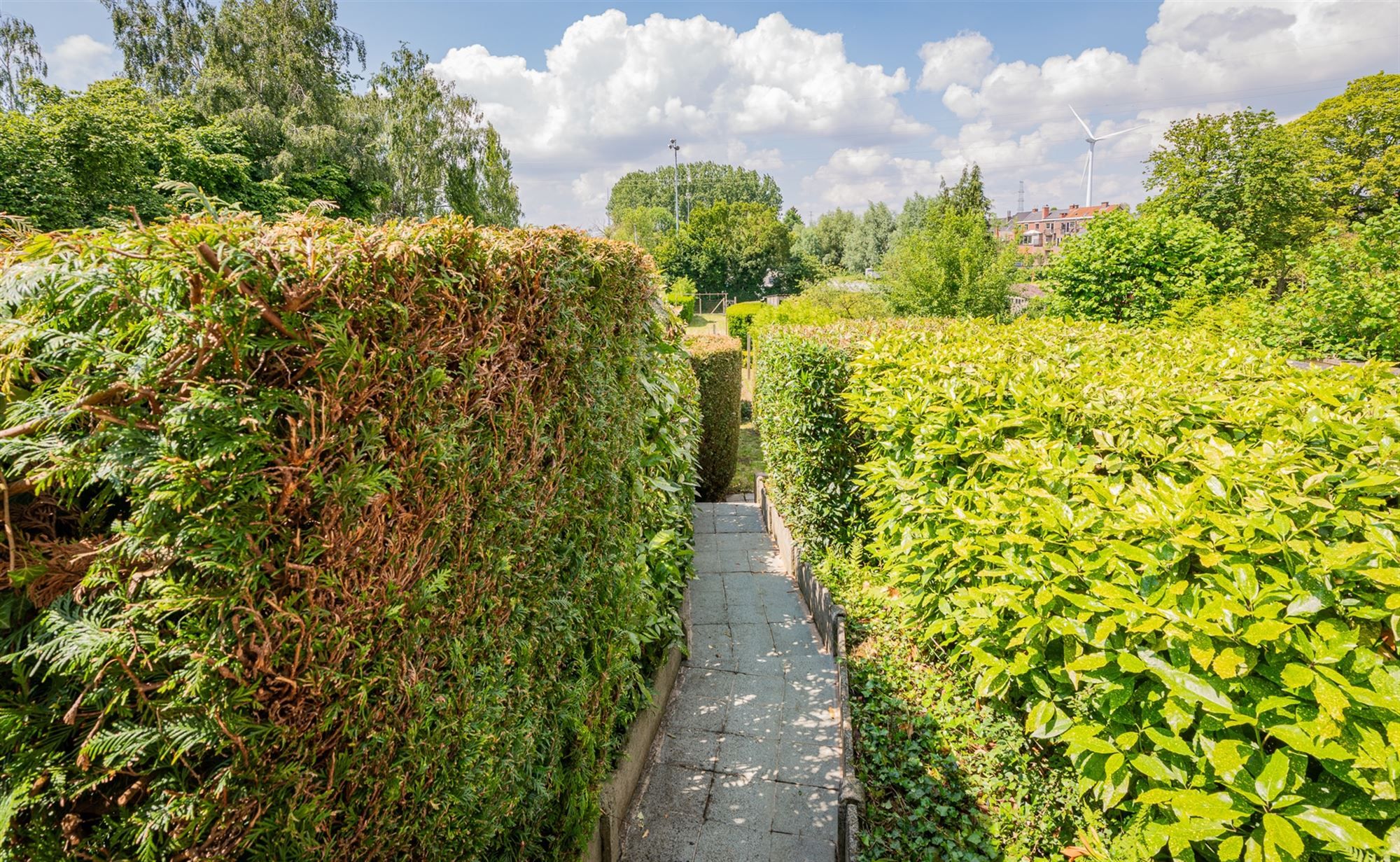 Charmante woning te koop in Buizingen foto 31