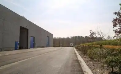 Klinkaardstraat 210, 2950 Kapellen foto 4