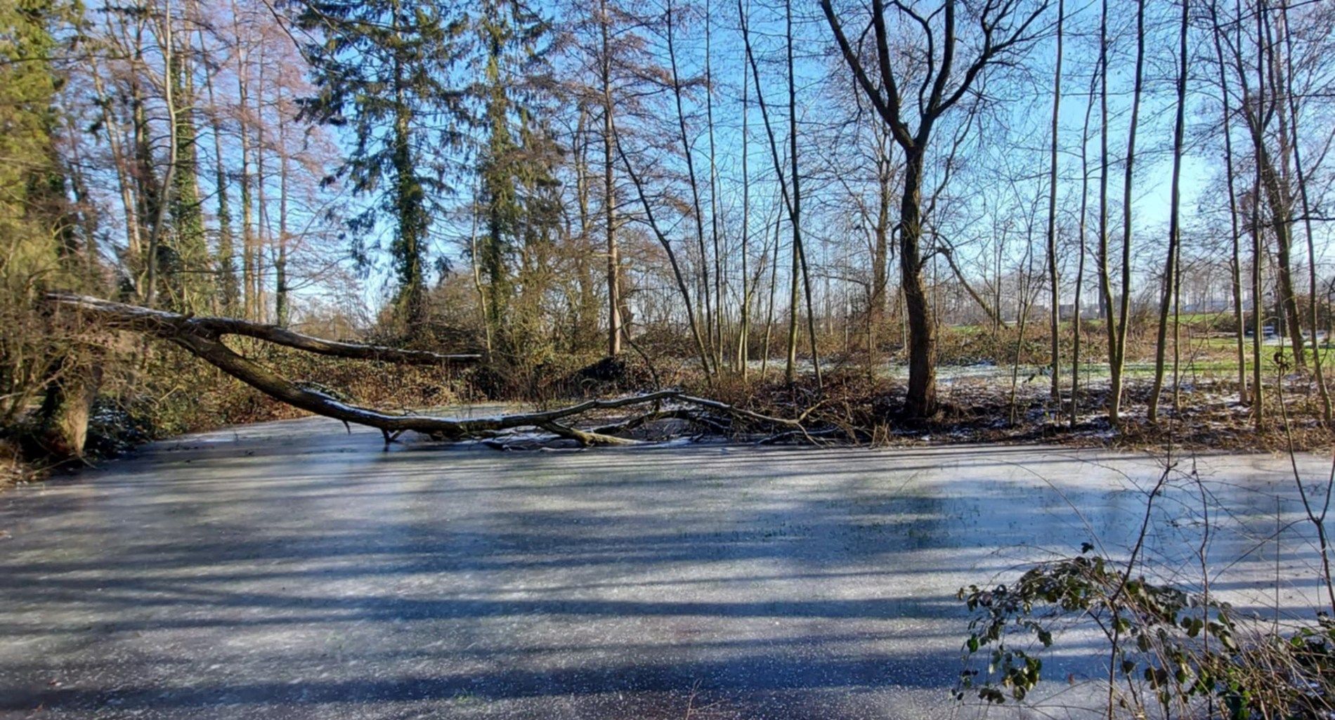 UNIEK DOMEIN MET OFF-GRID VAKANTIEWONING, SCHUUR EN 2 VIJVERS OP 1 HA 41 A foto 30