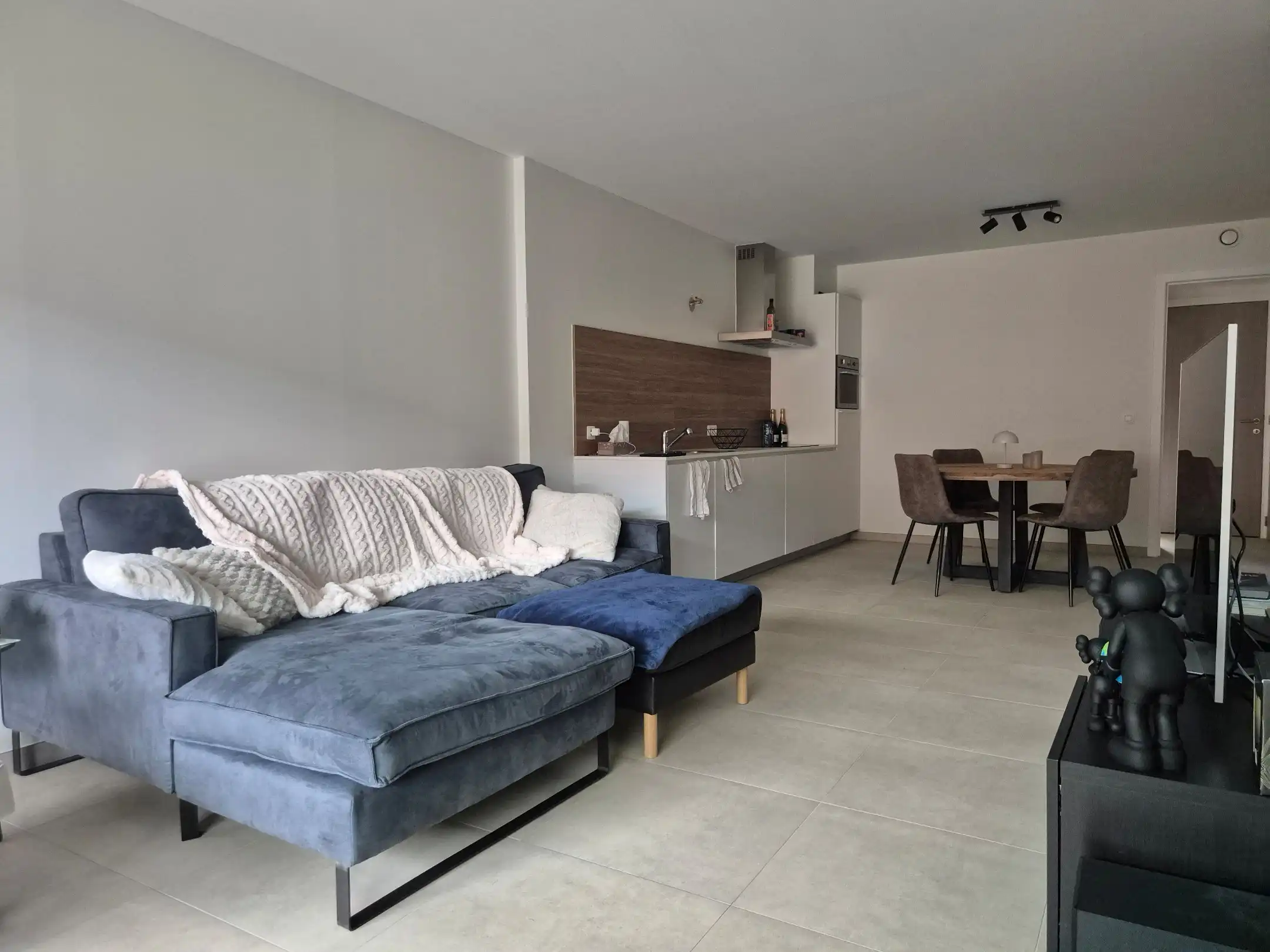 Energiezuinig appartement met 1 slaapkamers en terras. foto 6