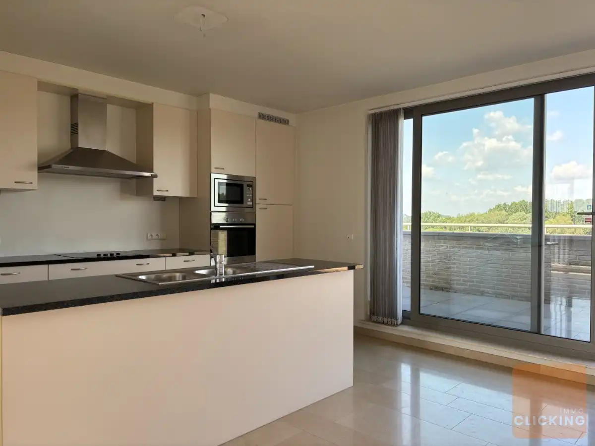 Uitzonderlijke penthouse met 3 slaapkamers en fantastisch terras (200m2) foto 14