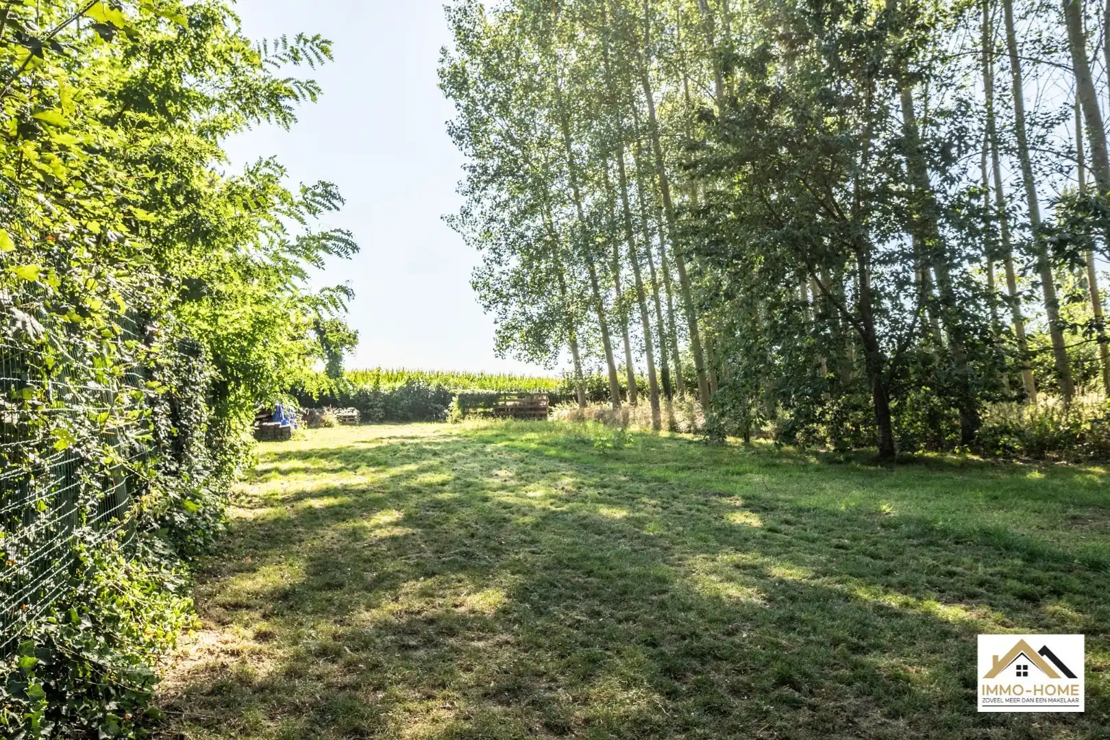 Perfecte starterswoning in landelijke omgeving!  foto 3