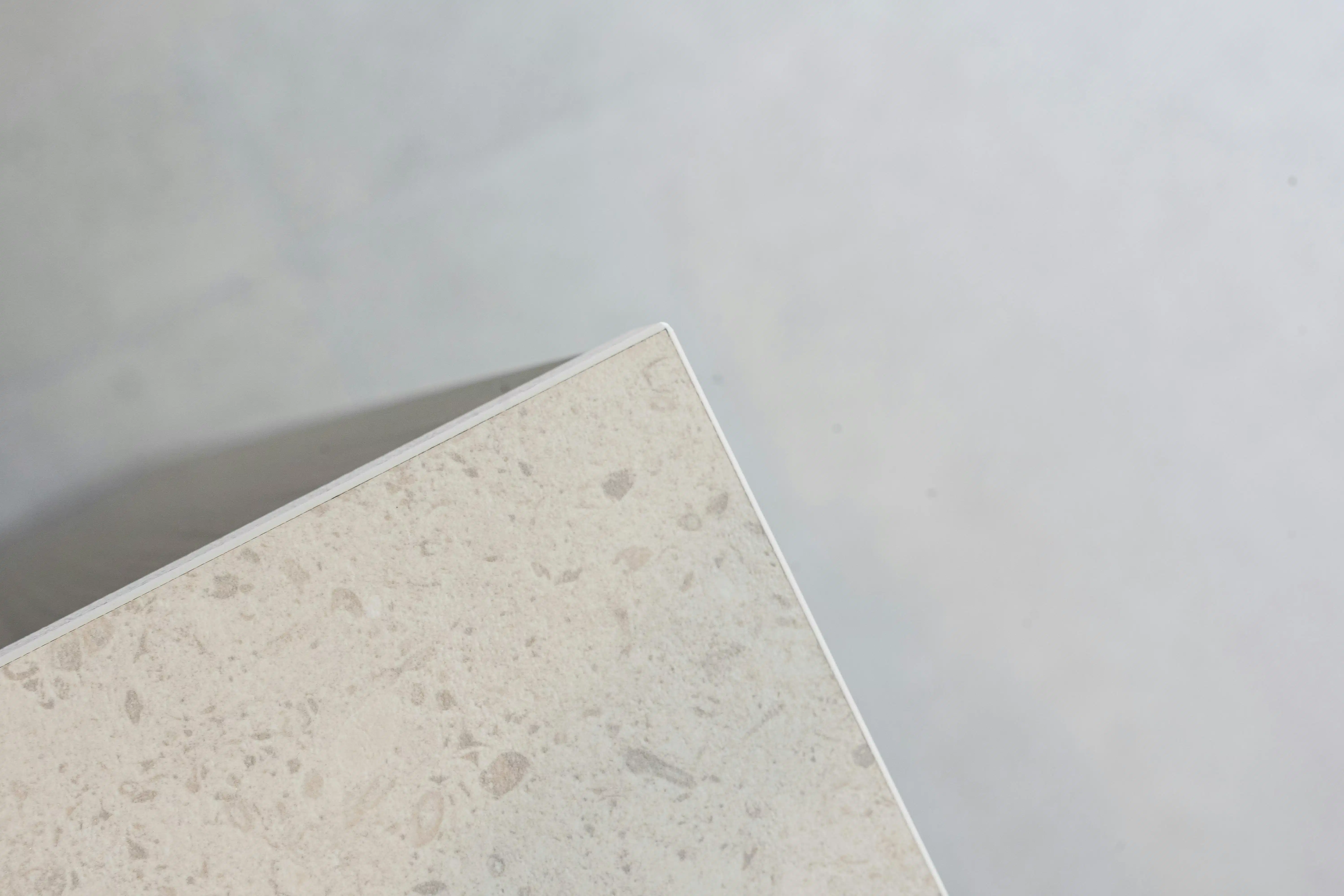 Albert & Jerome te koop in Desselgem foto 18