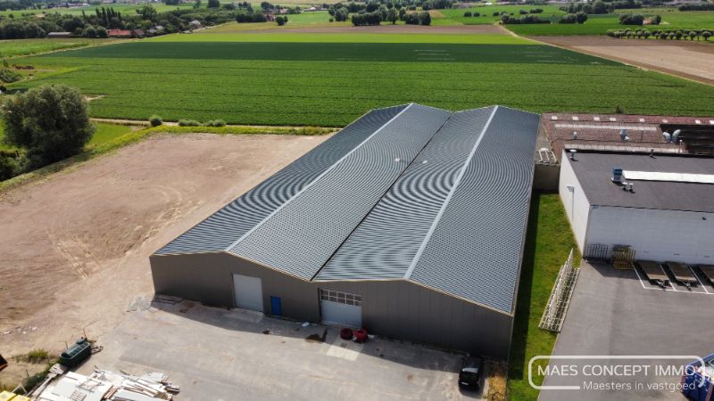 Opslagruimtes vanaf 150 m2 te huur in Anzegem foto 6