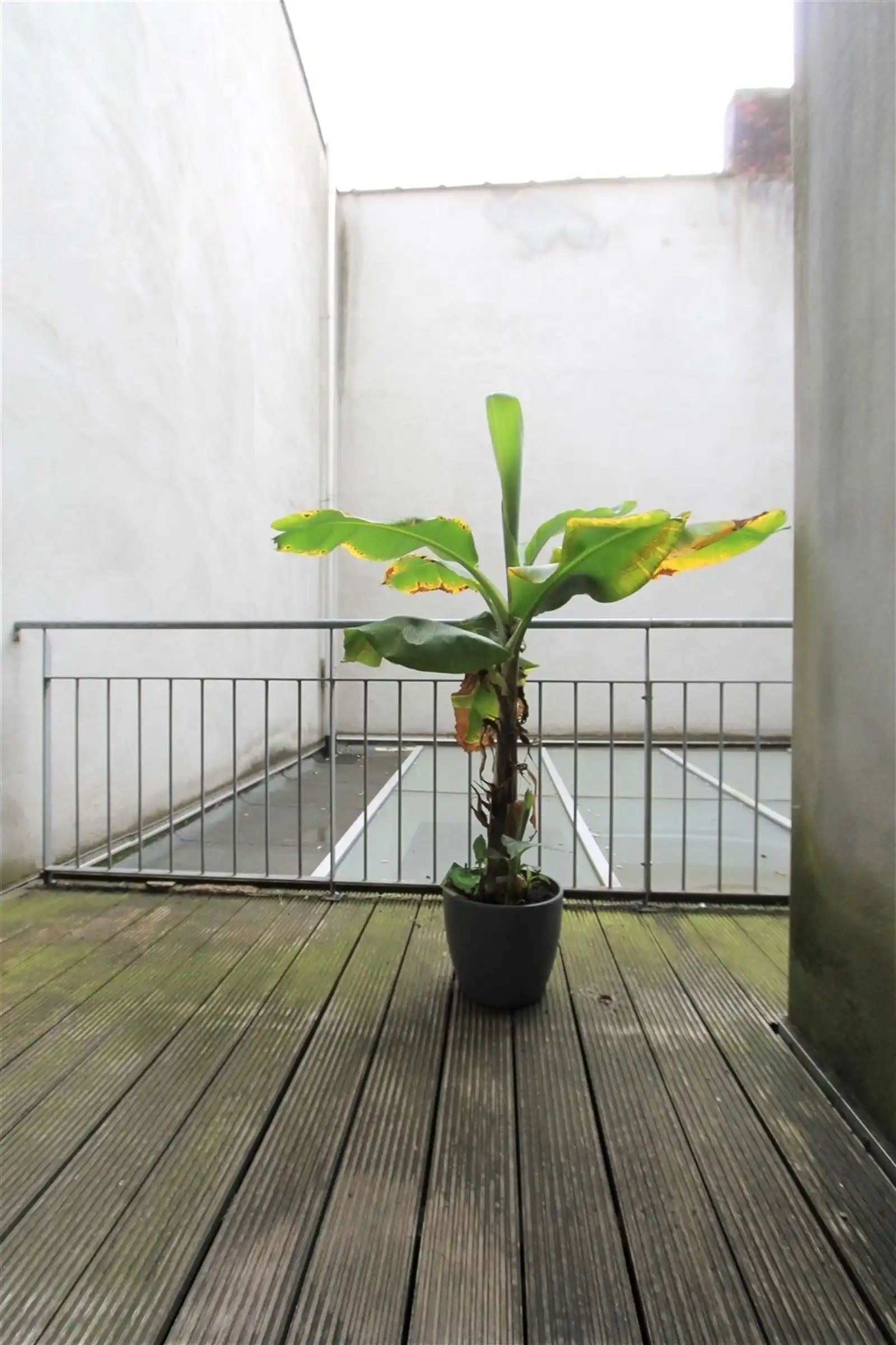 Stijlvol appartement met karakter foto 19