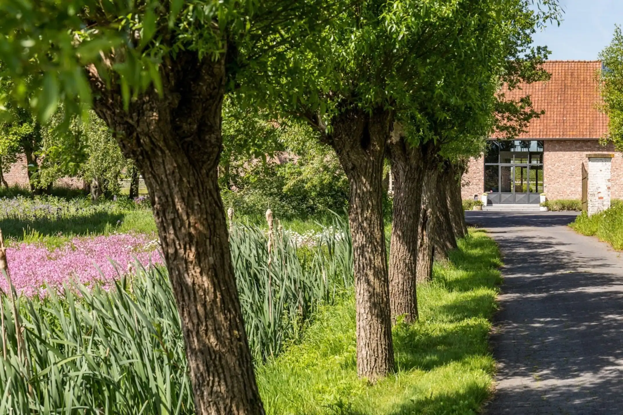 Prachtige hoevewoning met loods en bouwgrond op 2,7 hectare foto 3