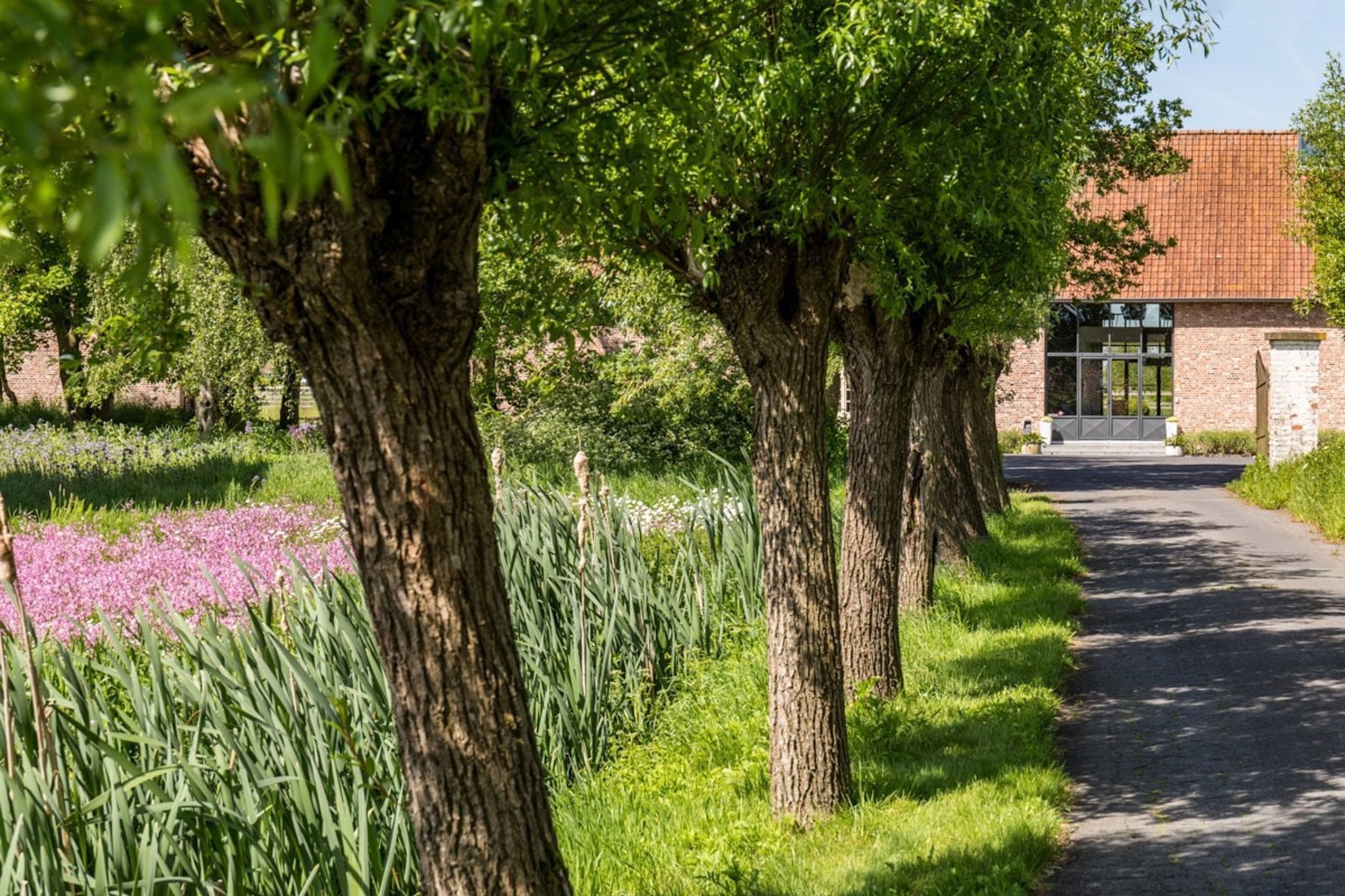 Prachtige hoevewoning met loods en bouwgrond op 2,7 hectare foto 3