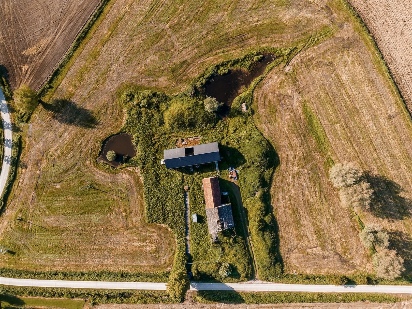 Landelijke woning op 20527m² foto 15