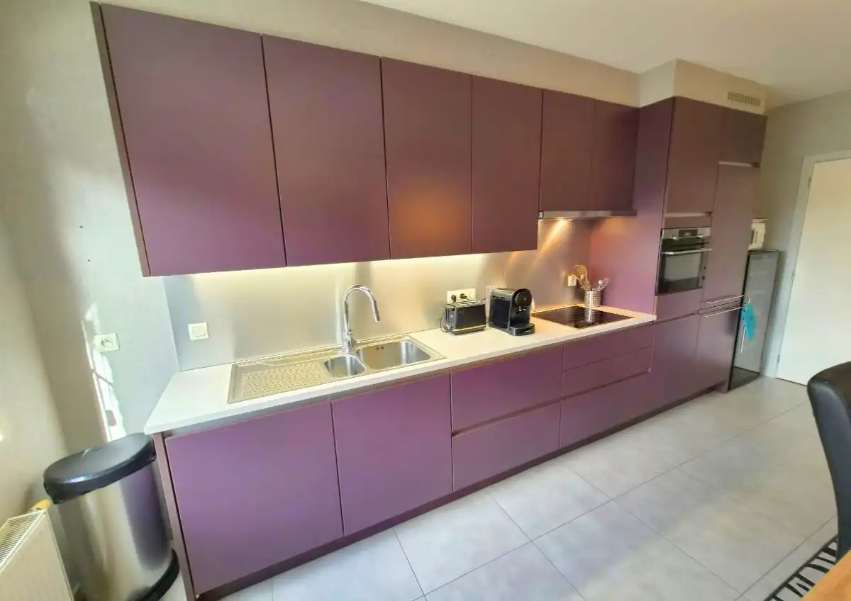 RECENT APPARTEMENT TE KOOP TE DE PANNE foto 7