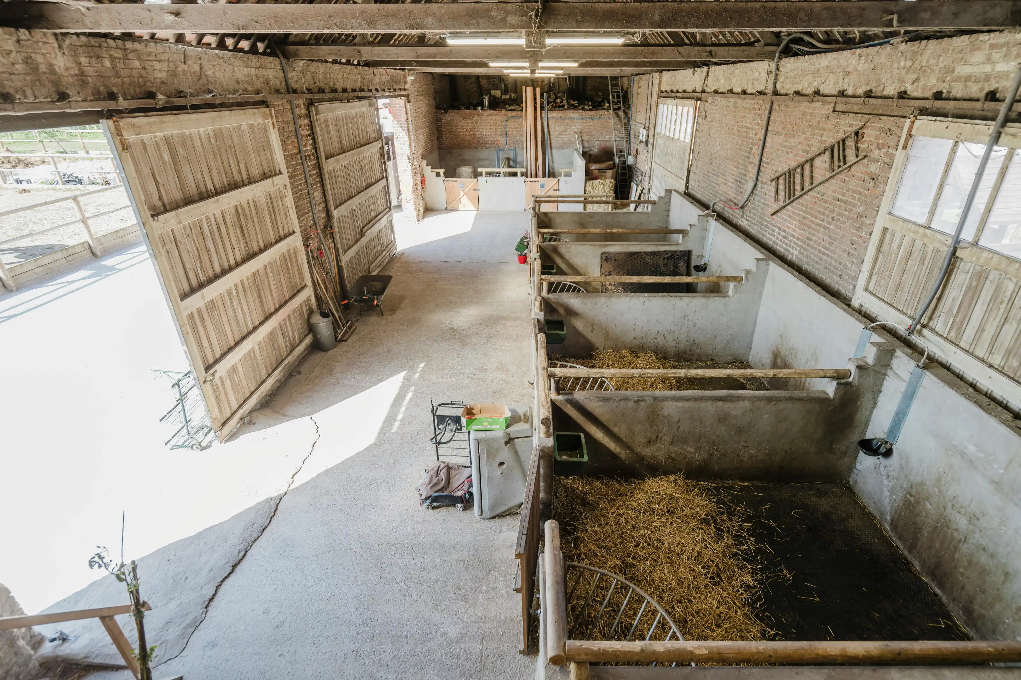 Karaktervolle hoeve met open zicht op de Kemmelberg en tal van mogelijkheden op 7.425 m² foto 8