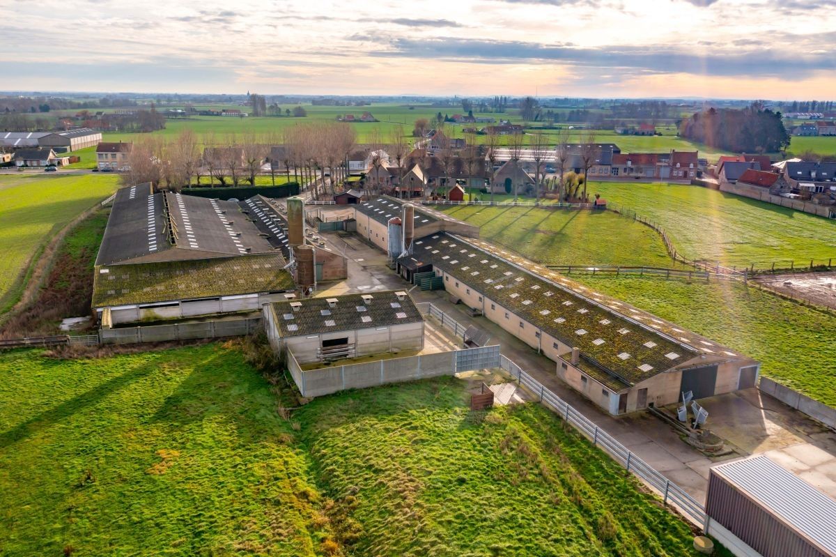 Vleesveebedrijf te koop op 3,29 ha te koop te Alveringem foto 7