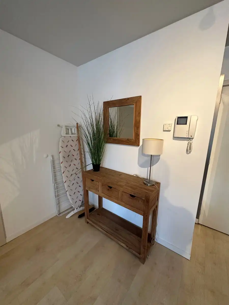 Prachtig Gemeubeld Appartement - 1 Kamer (Plasky) foto 5