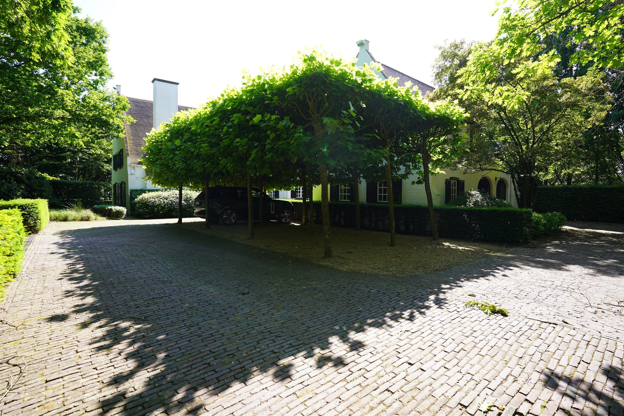 Bellegem bos: uitzonderlijk, waardevol landgoed! foto 31