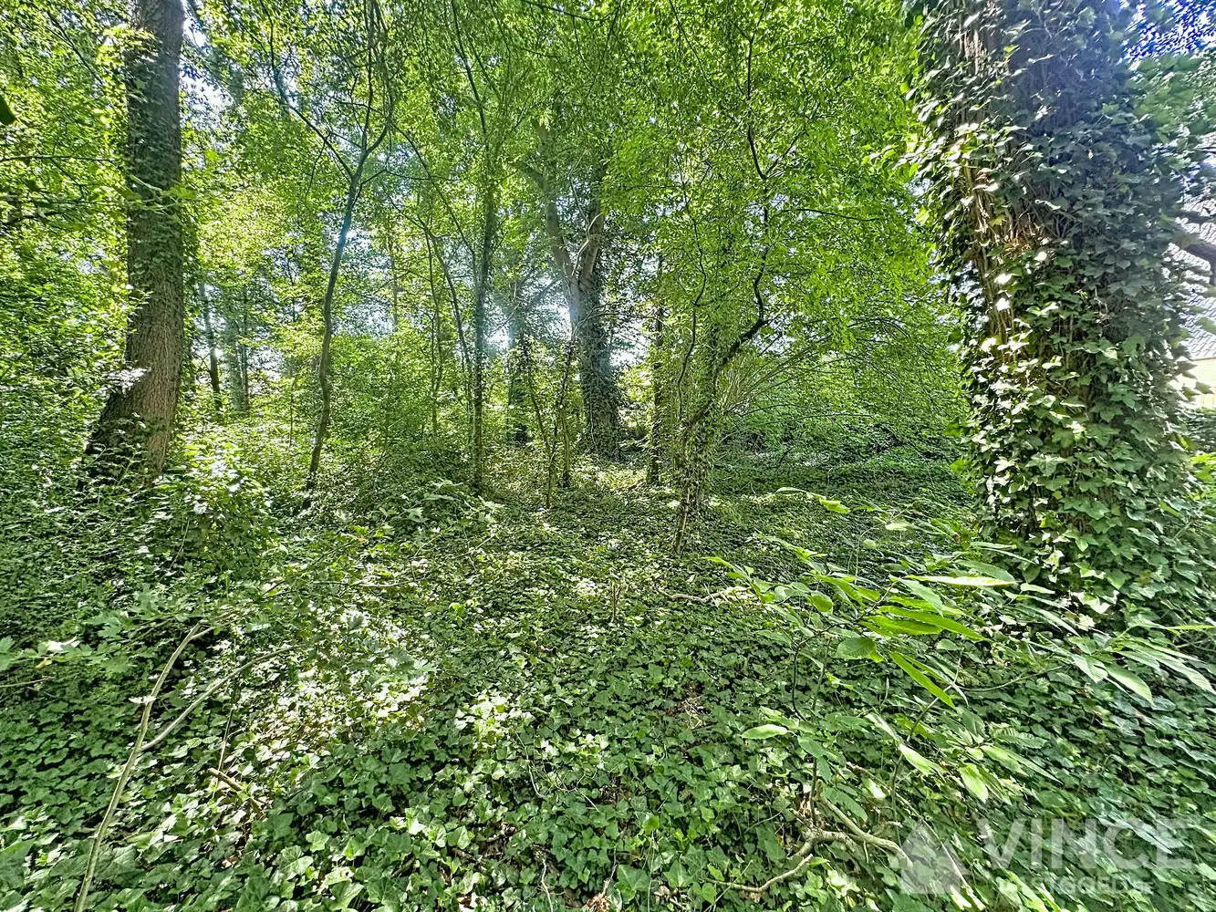 Unieke kans: Prachtige ruime bouwgrond op centrale locatie foto 5