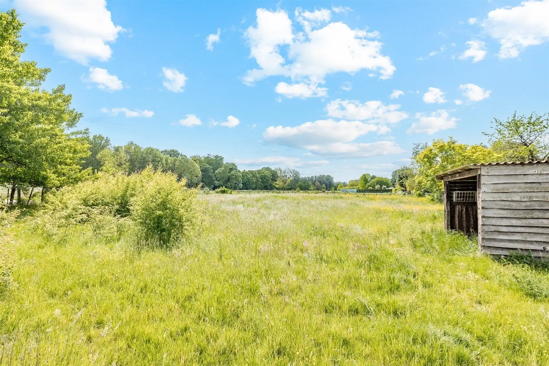 Charmante villa met zwembad op een mooi perceel van 942 m²  foto 25
