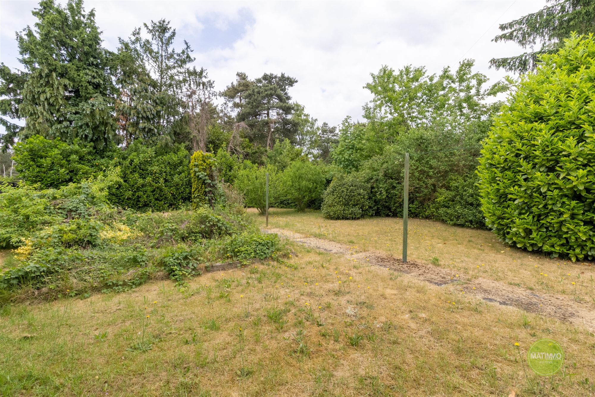 Vrijstaande laagbouwwoning met grote tuin in Mol-rauw foto 17