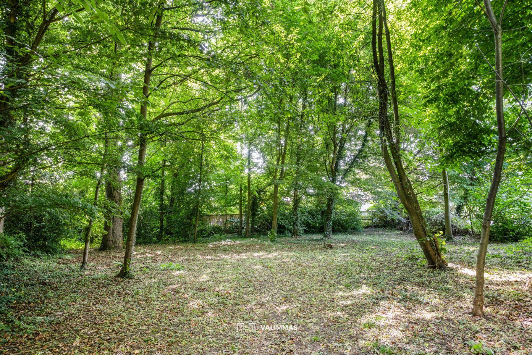 Uniek gelegen doktersvilla met grote tuin (= 2 bouwgronden!) foto 9
