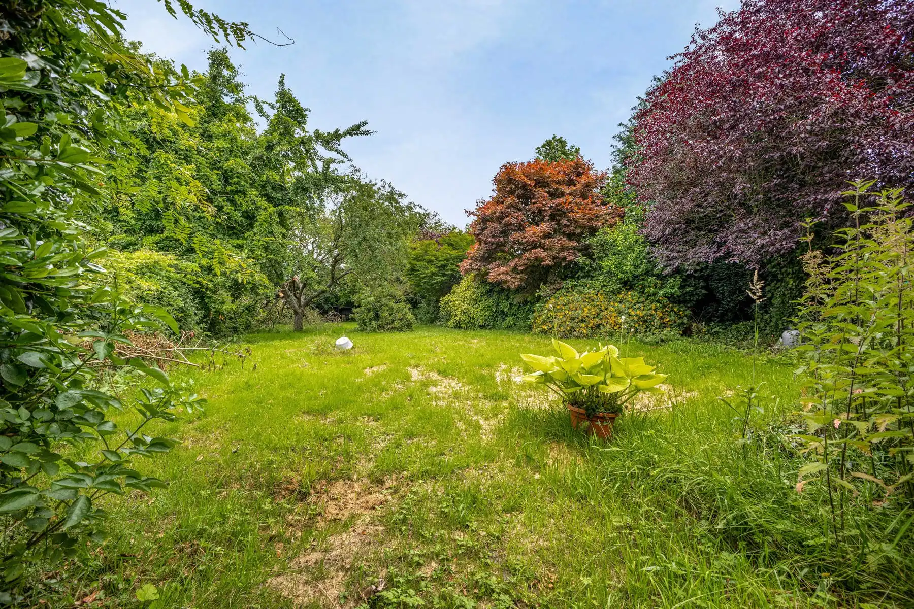 Rustig gelegen woning met grote tuin foto 4